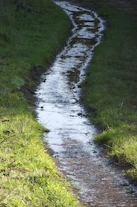 Pasted Graphic 5